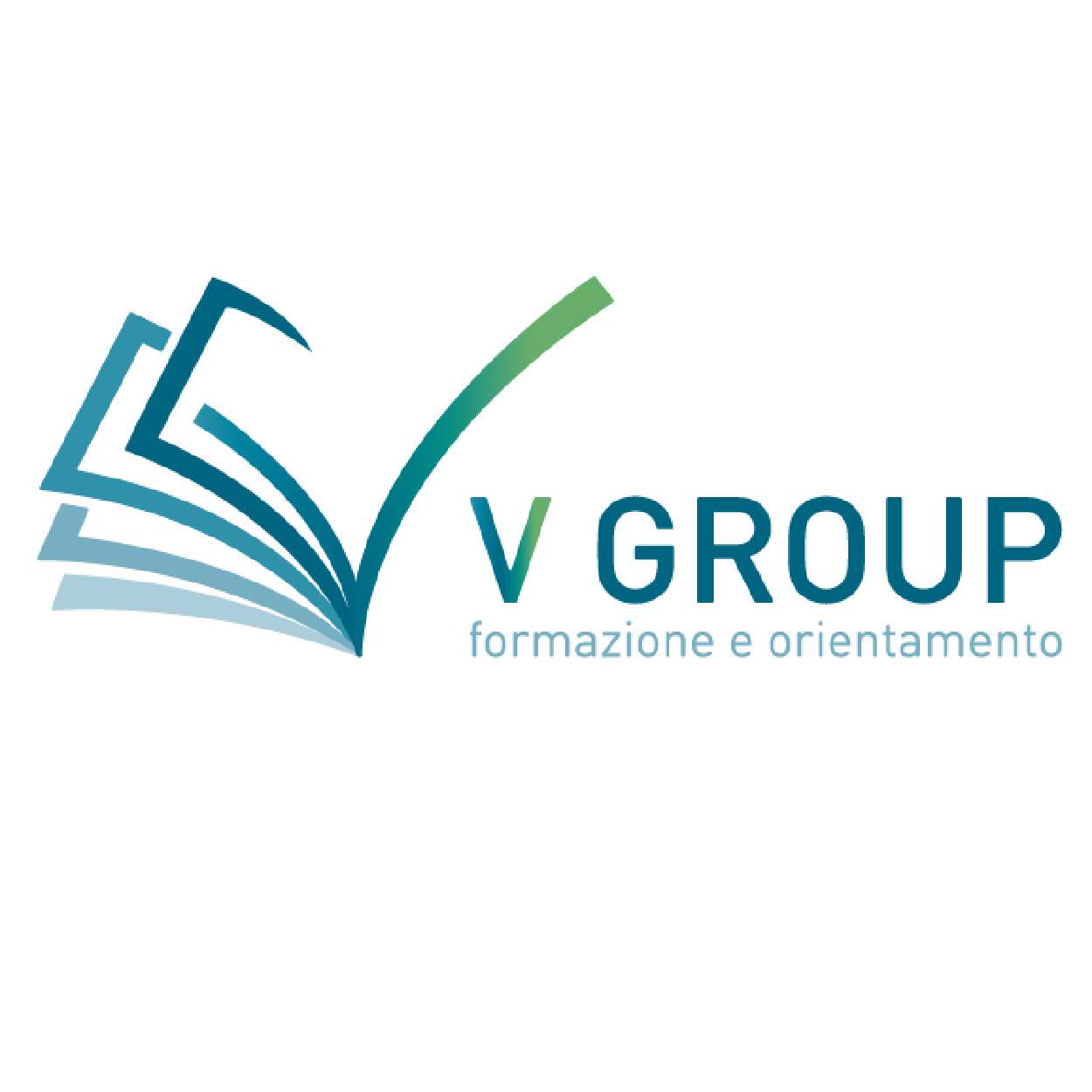V-Group
